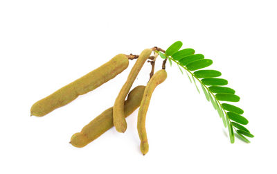 Close-up of fresh green chili pepper against white background