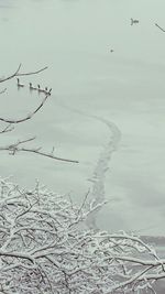 winter