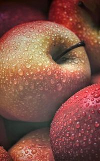 Close-up of strawberries