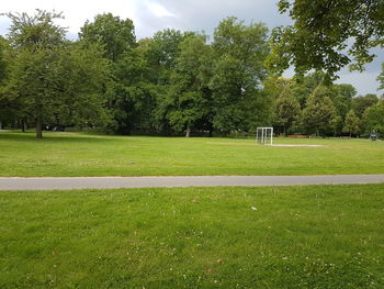 View of trees in park