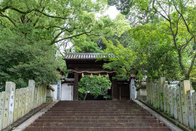 Staircase amidst trees and building