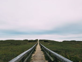 Walkway amidst landscape against sky