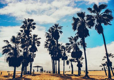 Palm trees on beach against sky