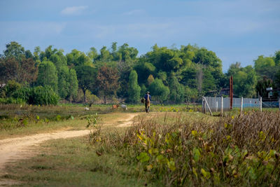 Scenic view of field against sky