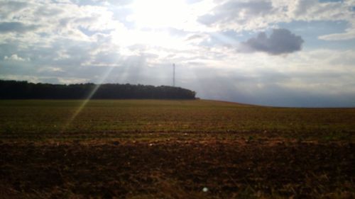 Scenic view of field against clear sky