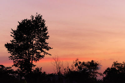 Low angle view of silhouette tree against romantic sky