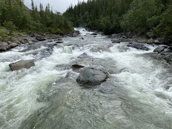 River flowing through rocks in forest