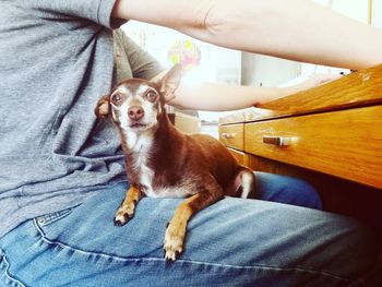 Midsection of woman with dog at home