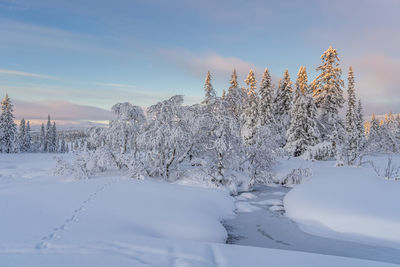 Snow covered land against sky during winter