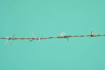 Low angle view of barbed wire against clear sky