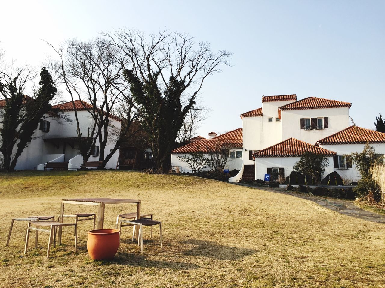 building exterior, architecture, built structure, clear sky, tree, house, bare tree, sunlight, residential structure, day, residential building, outdoors, absence, no people, grass, sky, shadow, branch, blue, field