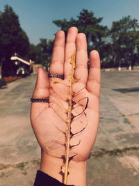 Close-up of human hand against sky