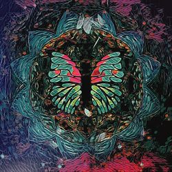 Close-up view of multi colored leaves