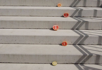 Cross section of fruits on staircase