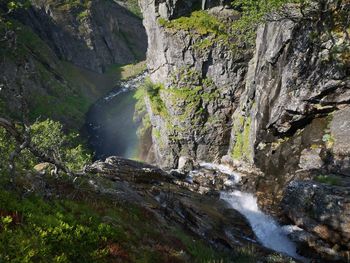 Scenic view of waterfall in forest