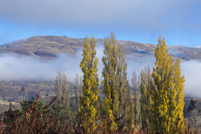 Panoramic view of landscape and mountains against sky