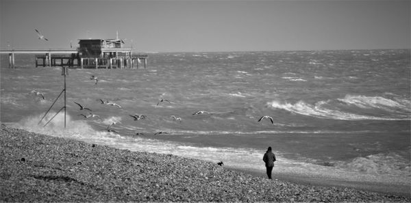 People on beach against sky