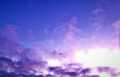 Low angle view of airplane flying in sky