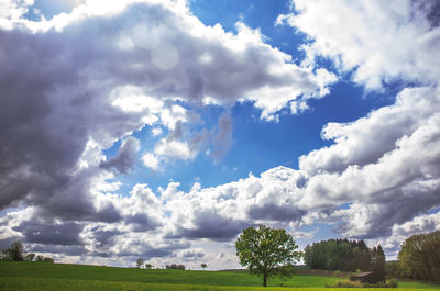 Scenic view of field against sky