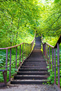 Low angle view of staircase