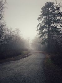 Road amidst trees against sky during foggy weather