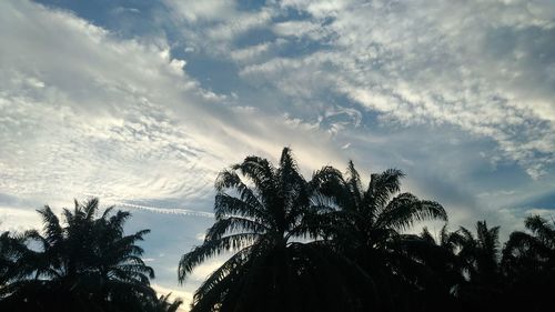 Low angle view of silhouette trees against sky