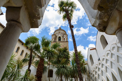 Low angle view of palm trees and buildings against sky