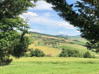 Scenic view of landscape against sky