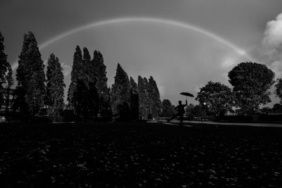 Rainbow over trees against sky