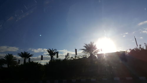 Silhouette palm trees against sky