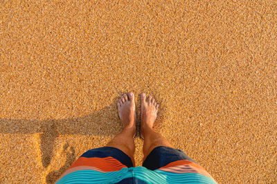 Low section of person standing on sand at beach