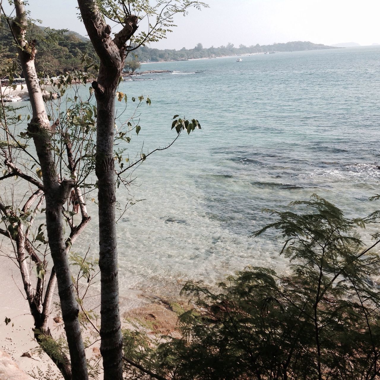 water, tree, branch, bare tree, built structure, sea, tranquility, architecture, nature, building exterior, sky, tranquil scene, day, scenics, tree trunk, outdoors, beauty in nature, no people, lake, growth