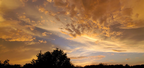 Low angle view of silhouette trees against sky during sunset