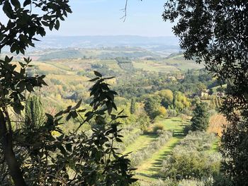 Scenic view of agricultural landscape against sky