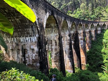 Low angle view of arch bridge in forest