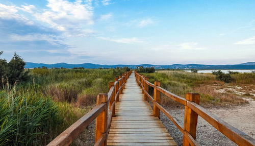 Wooden pathway in beautiful nature park. vanishing, diminishing, way, forward.