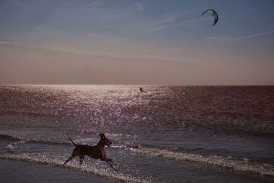 People riding horse on beach