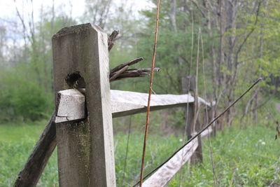 Wooden post on grassy field