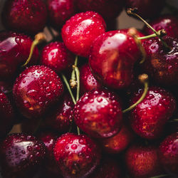 Close-up of strawberries