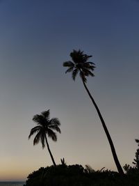 Silhouette palm trees against sky during sunset