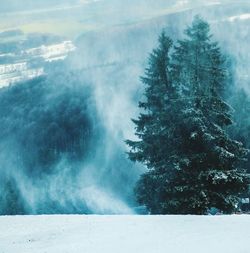Trees on snow covered landscape against sky
