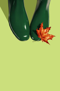 Autumn sale, minimal design with rubber green boots and red autumn leaf