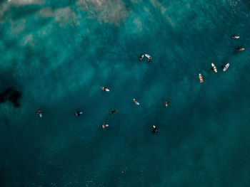 High angle view of people swimming in sea