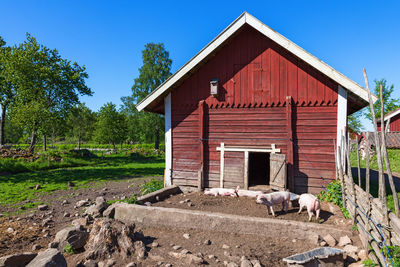 View of a house