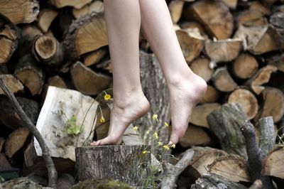 Low section of person on wooden logs in forest