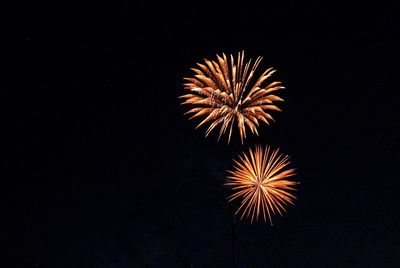 Low angle view of fireworks in sky at night