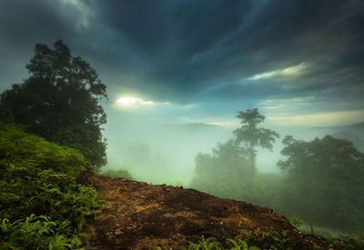 Scenic view of landscape against sky during foggy weather
