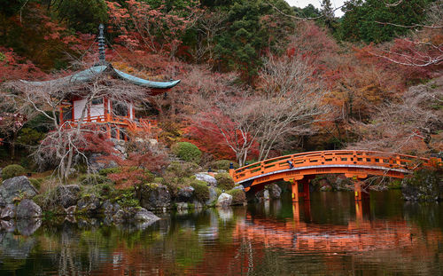 View of bridge over lake in forest during autumn