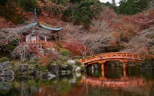 Daigo-ji autumn colours
