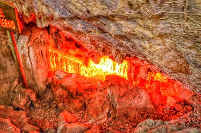 Close-up of red leaf